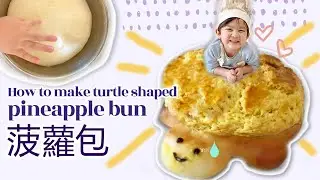 How to make turtle-shaped pineapple buns/melon pan 烏龜龜菠蘿包做法