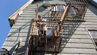 FIRE ESCAPE SCRAPING/PAINTING QUEENS