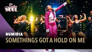 Somethings Gotta Hold On Me - Numidia (Ladies of Soul Live at the Ziggo Dome 2025)