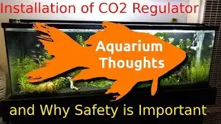 Installation of my CO2 Regulator and Why Safety is Important - Aquarium Thoughts.