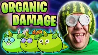 HIGH-RANK LEAFY BAMBOO SHOOT PLANTITO BUILD | ORIGINS LEADERBOARDS | AXIE INFINITY
