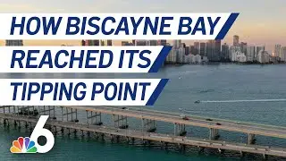How Biscayne Bay Reached its &lsquo;Tipping Point'