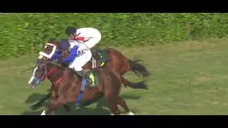 5th Race Tariq Aziz Memorial Cup Winner Jim And Tonic | Ridden By Amir Pervaiz Trained By AB Malik |