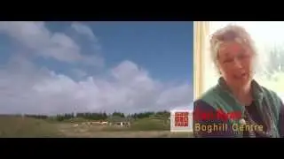 Boghill No2