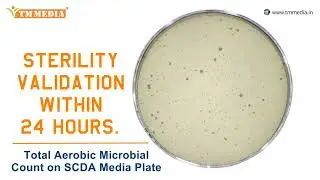 An isolation system that supports True results