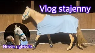 VLOG STAJENNY! NOWE OGŁOWIE