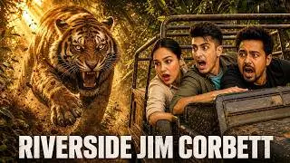 JIM CORBETT DHIKALA ZONE TIGER SAFARI