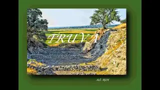 #truva