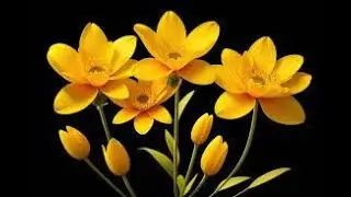 (68) 28.01.26_ විභංග ප්‍රකරණය ( 16 - ඤාණ විභංගය - 1) _ මංගල එදිරිසිංහ ගුරු මහත්මා