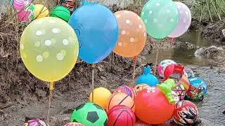 Kompilasi Hunting Balon Lucu dan Bola Bola ⚽🎈🏀