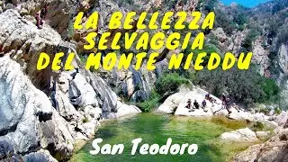 SARDEGNA - MONTE NIEDDU - SAN TEODORO