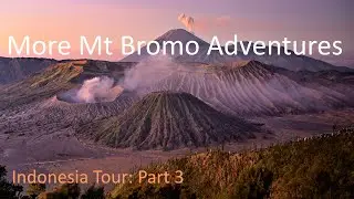 Indonesia Tour - Part 3: More Mt Bromo Adventures, East Java