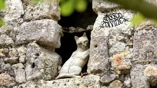 BOISSON DIVINE - Los gats de l'Arromiu (Demo - Volentat Bonus track)