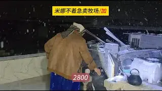 中介估价80亿，米娜表示不急于出售，米娜纪录片2800（加）