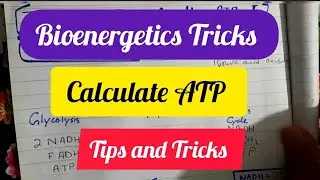 Tips and Tricks |  Bioenergetics Trick | MDCAT