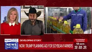 John Boyd, NBFA Pres: Farmers Face Crisis as Soybean Exports to China Collapse During Gov't Shutdown