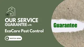 EcoCare Pest Control: Our Service Guarantee