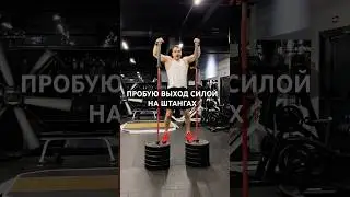 Навели суеты в зале