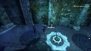 ESO ー Imperial City Prison ー How to get past 2 lever switch solo (On NB)