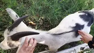 Pousada Rancho da Serra,Parque Nacional do Caparaó 