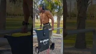 How To Build Your Entire Body With Basic Calisthenic Exercises | Reps & Sets Included @RipRight