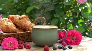 Wednesday JAZZ Happy December Jazz & Tranquil Coffee Bossa Nova Background Music for Positive Mood