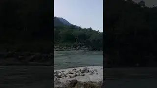 #india #travel #rishikesh #nature #ganges #uttarakhand #love #ganga #rishikeshdairies #vlog