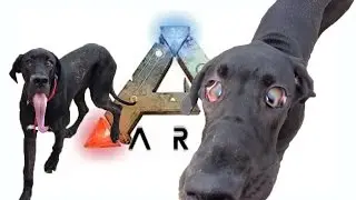 Ark: Survival Evolved funny moments│Dead dogs don't move