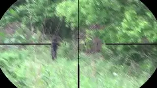 Paintball Sniper- Sar12 ScopeCam