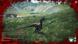 Daytime Dilo strikes again - Dilo vs Cera 1v1 | The Isle Gameplay