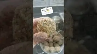 Naam batao winter  💪💪#protein #helth #viral#foodshorts #food #streetfood #recipe #cookies #foodie