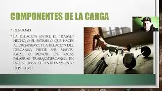 Componentes de la carga