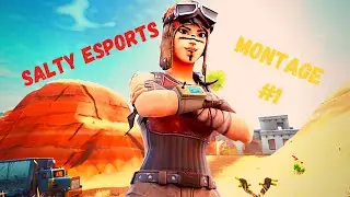 Presenting SALT Esports Fortnite Roster