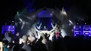 Noetik the Alchemist - Old Tree - Live at Luminosity 2017