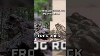 giant petrified animals that were discovered #youtubeshorts #unexplained