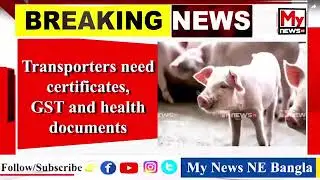 🔴 Assam enforces strict SOP to prevent spread of African Swine Fever