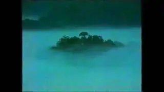 Tropical Rainforest Destruction