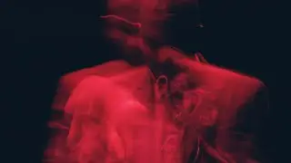 Des Demonas 