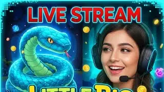 WORMATE.IO - Best Headshot Gameplay 🐍 Jannat Gaming 1M is live 🎮 #wormate #live #snakevideo
