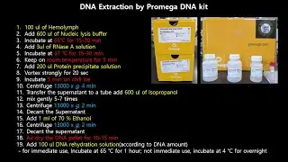 DNA extraction protocol by using kit(Wizard Genomic DNA Purification Kit, Promega)