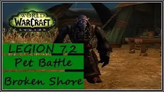 World of Warcraft Legion 7.2 - Broken Shore All Illdari Masters Pet Tamers