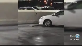 Local family spots Hawaiian owl in mall parking lot