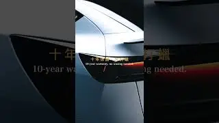 【XPEL  LUX PLUS 車漆保護膜】Tesla Model Y