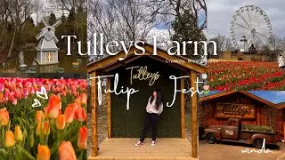 Tulleys Farm : Tulip Fest 2025 | Crawley, West Sussex