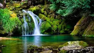 5 HOURS Relaxing Meditation Study & Sleep Music - Healing Reiki Zen Music