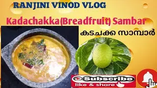 കടചക്ക സാമ്പാർ | Kadachakka Sambar | Sambar with  Bread fruit |  Vlog 113