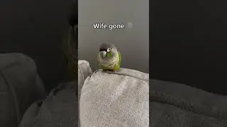 Poor Wife
