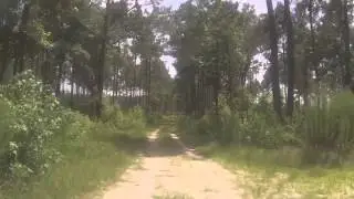 Race 13.1 Charleston Half Marathon Course Video Charleston South Carolina