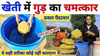 खेती में भेली का चमत्कार देखकर मंहगे खाद डालना भूल जाओगे | jaggery uses in agriculture |Gud ka upyog
