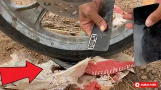 How to replace Back panel vivo Y12s | Timetorepair